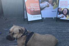 eastvangraphics.ca_1662073479_2918006300987925096_54796519964