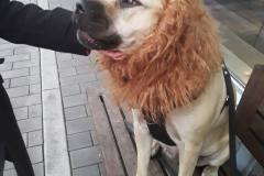 eastvangraphics.ca_1667261160_2961523720088110722_54796519964