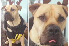 eastvangraphics.ca_1672004240_3001311557755395156_54796519964