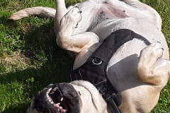 eastvangraphics.ca_1687812609_3133921768096925461_54796519964