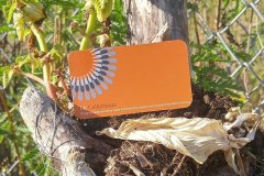 eastvangraphics_1532537725_1831381633166802427_8282818019