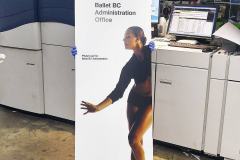 eastvangraphics_1533069523_1835842677696236504_8282818019